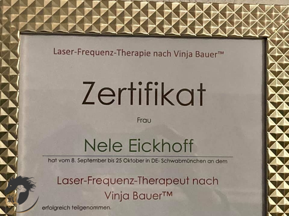Laser-Frequenz-Therapie nach Vinja Bauer ™ mit Zertifikat Laser-Frequenz-Therapie nach Vinja Bauer ™ mit Zertifikat